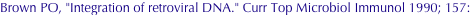 shapeimage_2_link_681