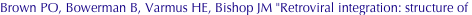 shapeimage_2_link_687