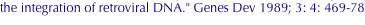 shapeimage_2_link_691