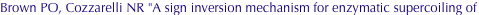 shapeimage_2_link_698