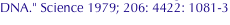 shapeimage_2_link_699