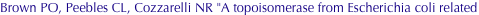shapeimage_2_link_701