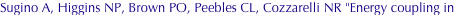 shapeimage_2_link_706
