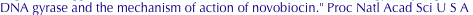 shapeimage_2_link_707